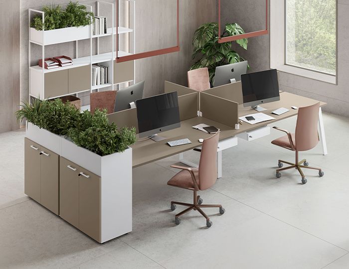 FUNNY YES WORKSTATION