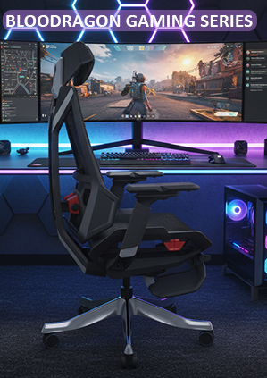 Ultimate Ergonomics Series